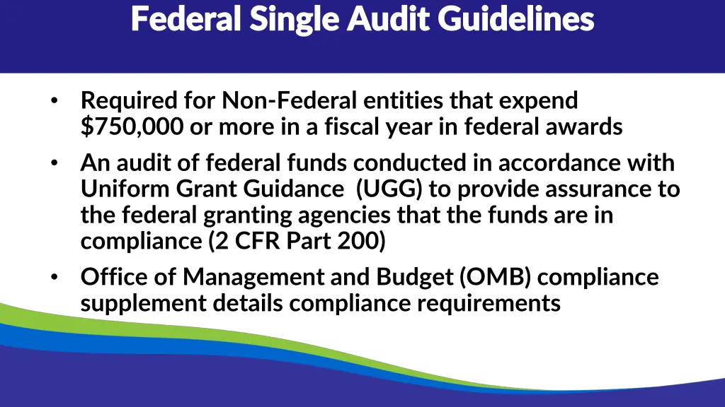 federal single audit guidelines federal single