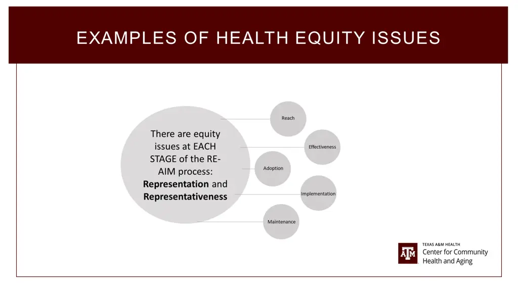 examples of health equity issues