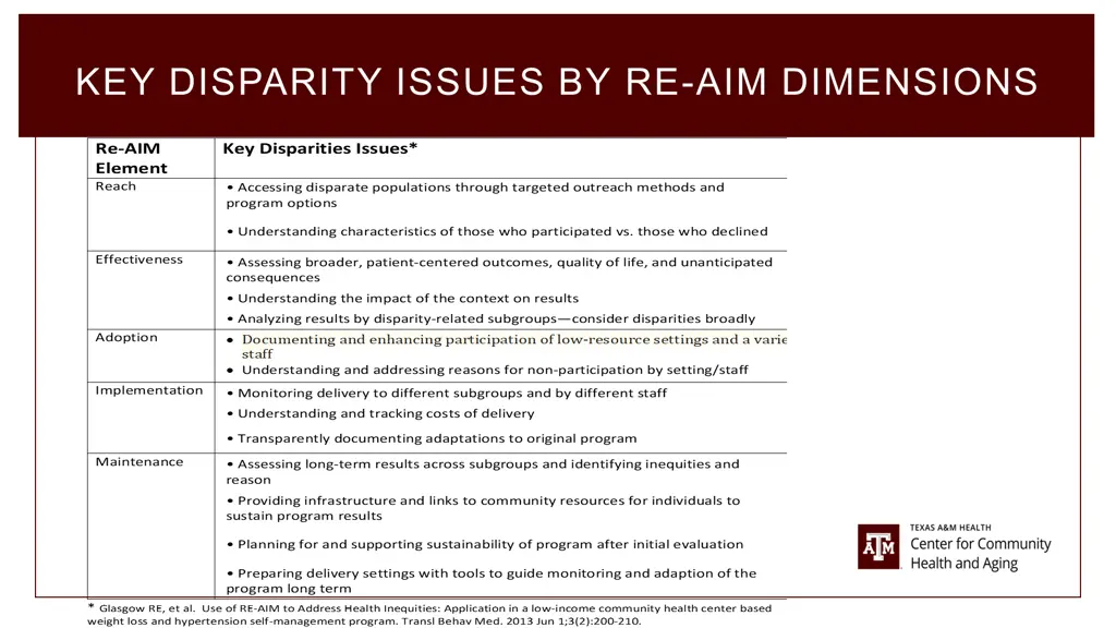 key disparity issues by re aim dimensions