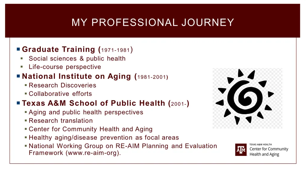 my professional journey