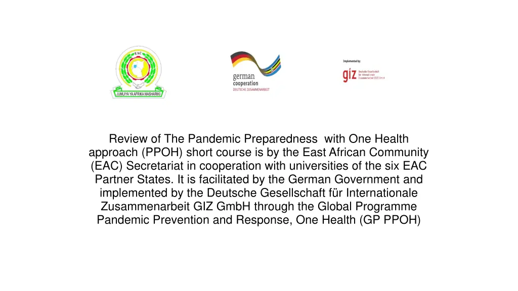 review of the pandemic preparedness with