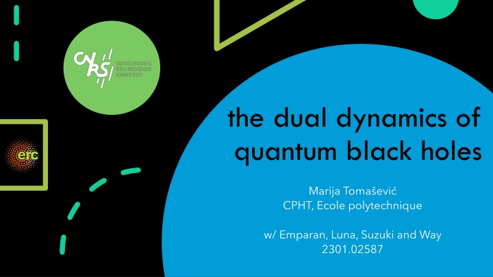 the dual dynamics of quantum black holes