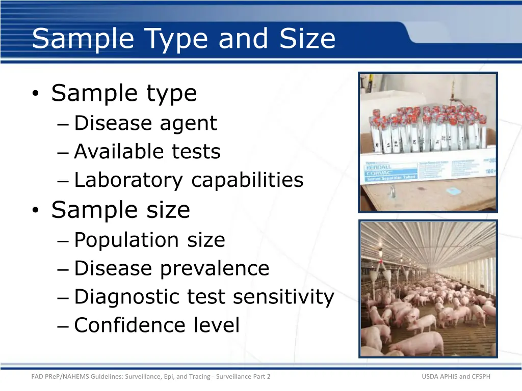 sample type and size