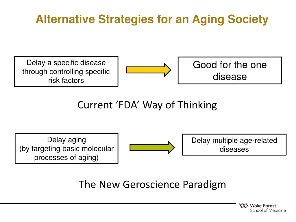 alternative strategies for an aging society