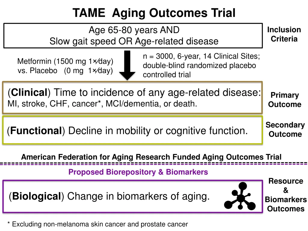 tame aging outcomes trial