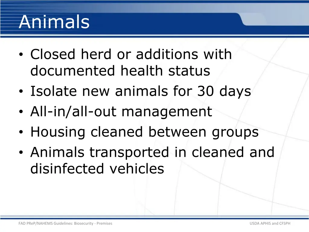 animals