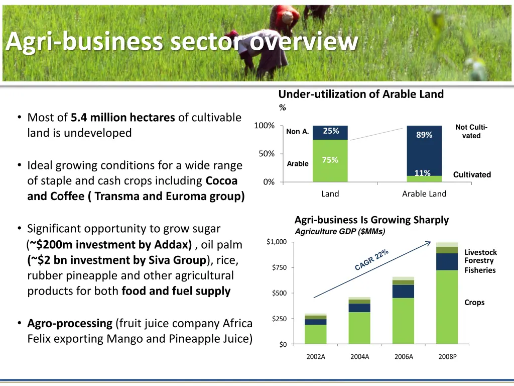 agri business sector overview