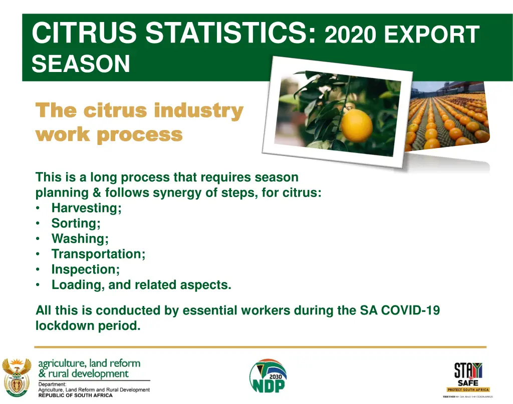 citrus statistics 2020 export season 1