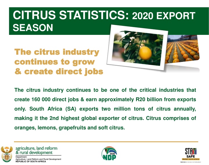 citrus statistics 2020 export season