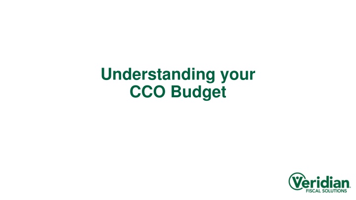 understanding your cco budget