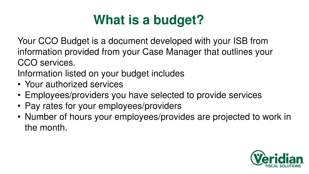 what is a budget