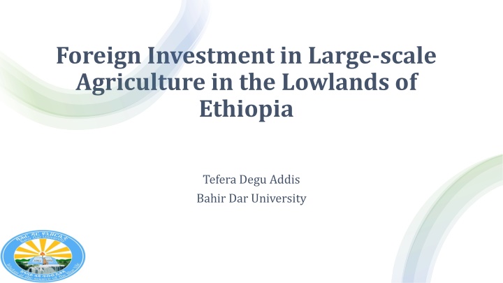 foreign investment in large scale agriculture