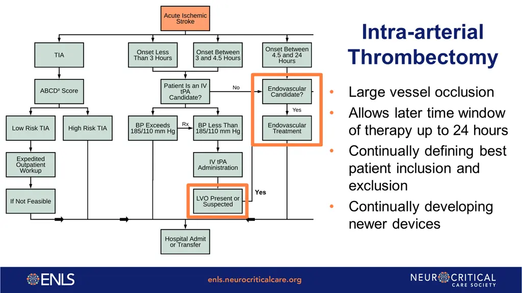 intra arterial thrombectomy