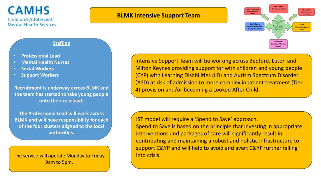 blmk intensive support team