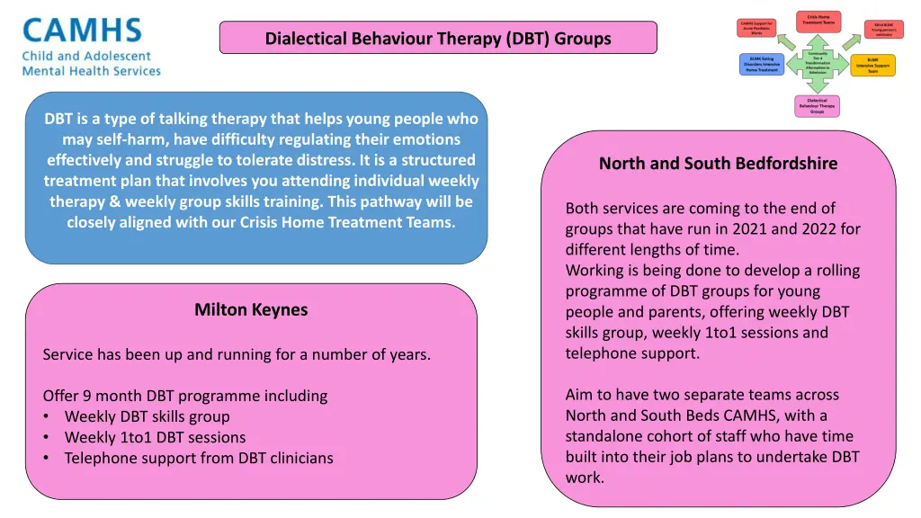 dialectical behaviour therapy dbt groups