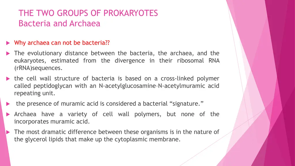 the two groups of prokaryotes bacteria and archaea