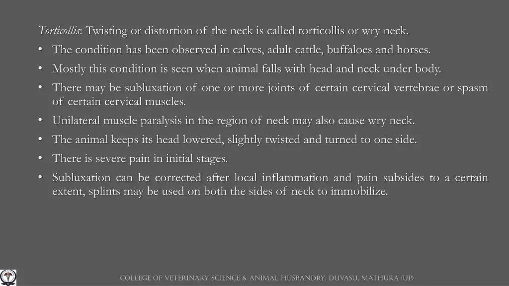 torticollis twisting or distortion of the neck