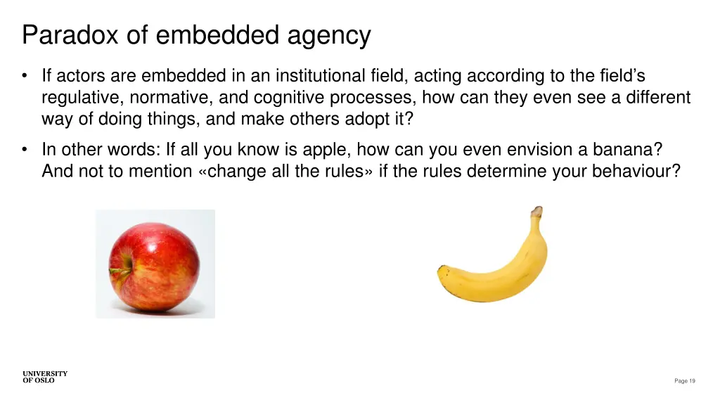 paradox of embedded agency