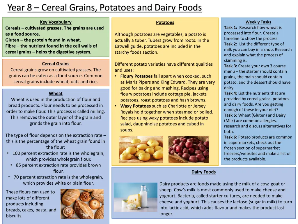 year 8 cereal grains potatoes and dairy foods
