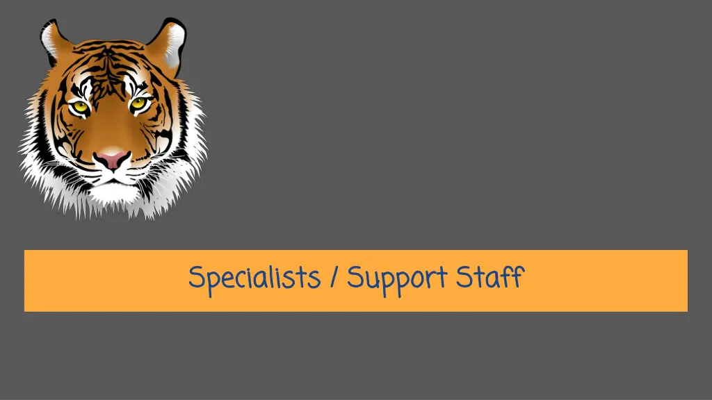 specialists support staff
