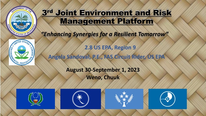 3 rd joint environment and risk management