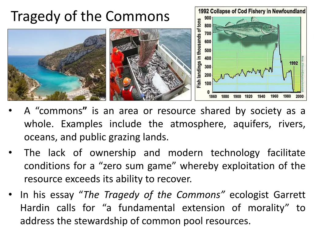 tragedy of the commons