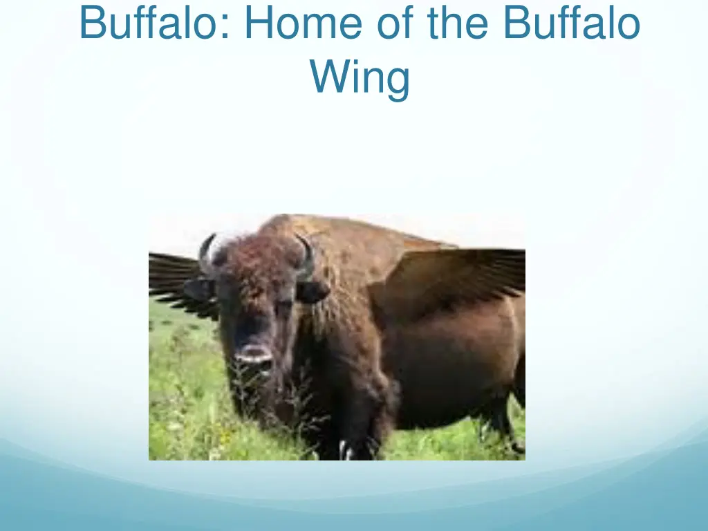 buffalo home of the buffalo wing