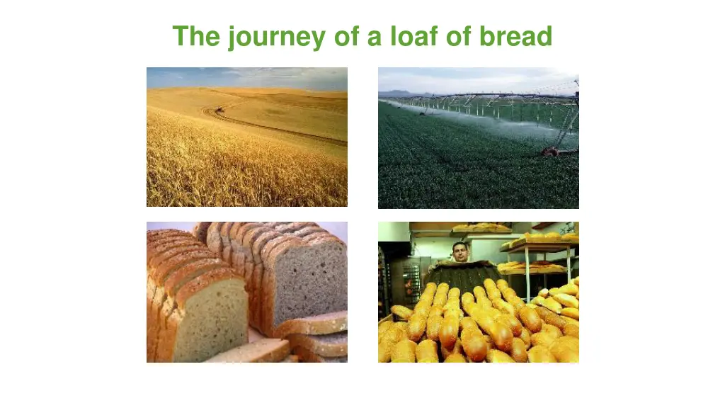 the journey of a loaf of bread