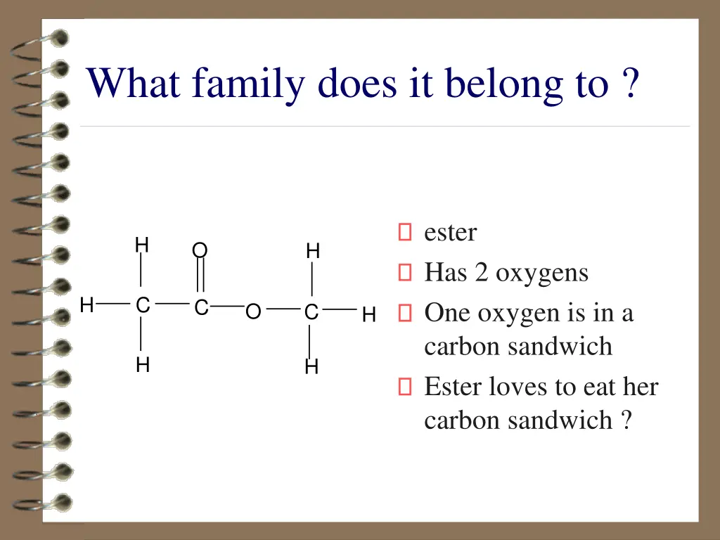 what family does it belong to 5