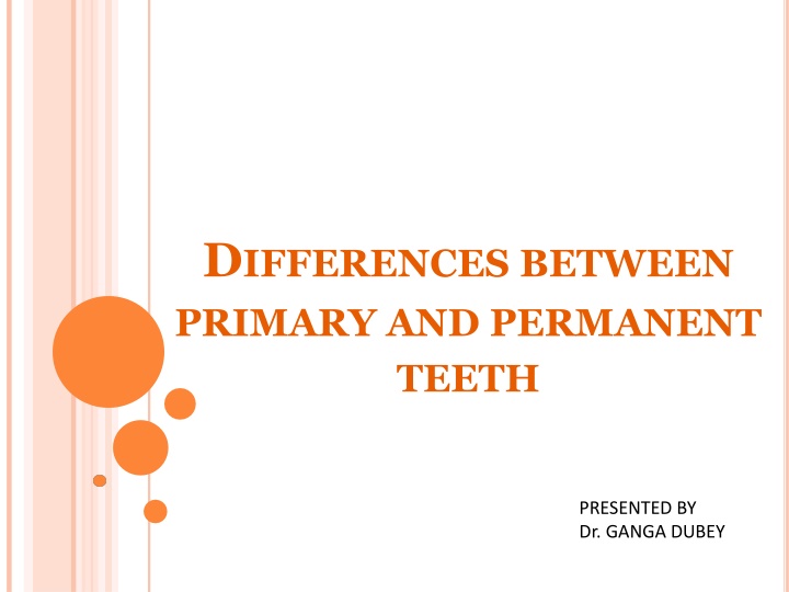 d ifferences between primary and permanent teeth