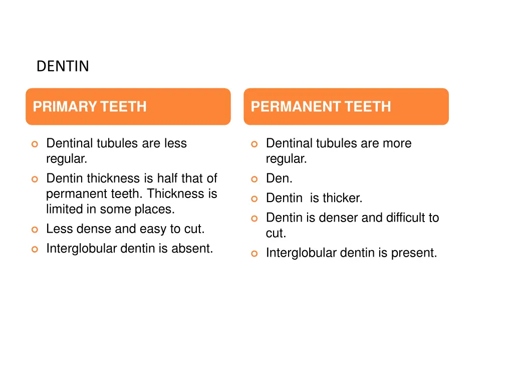 dentin