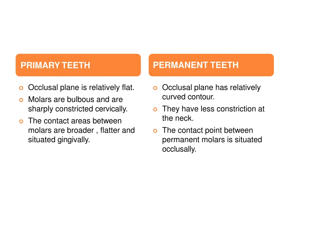 permanent teeth 1