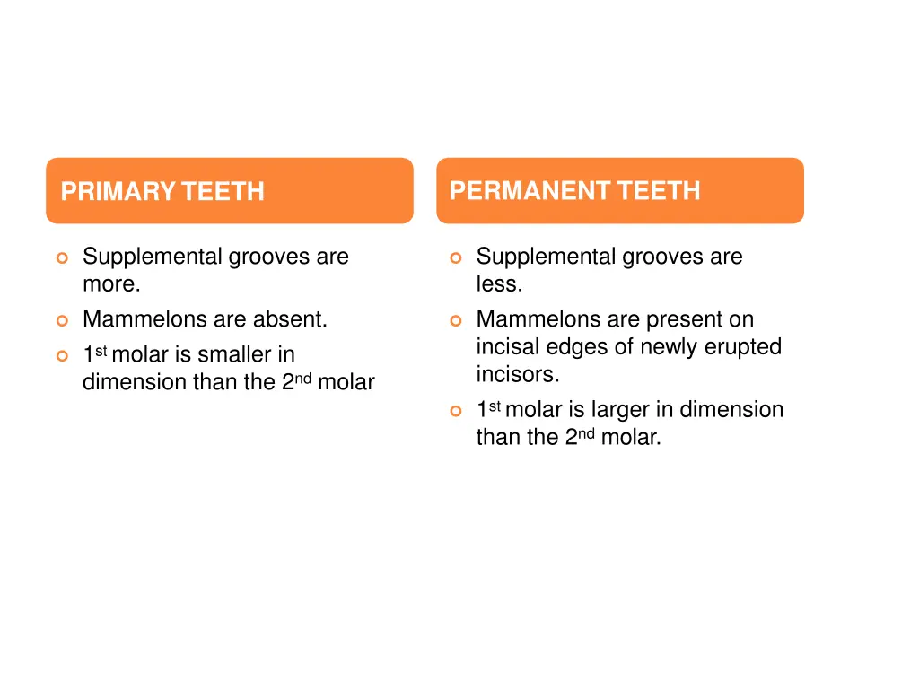 permanent teeth 2