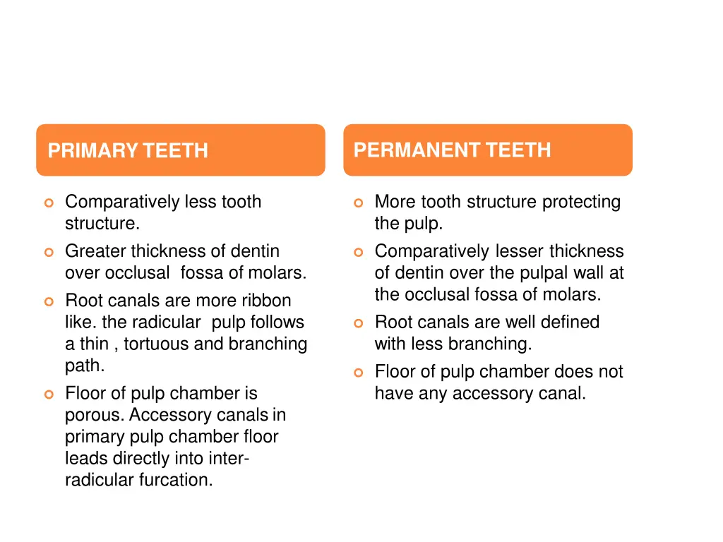 permanent teeth 3