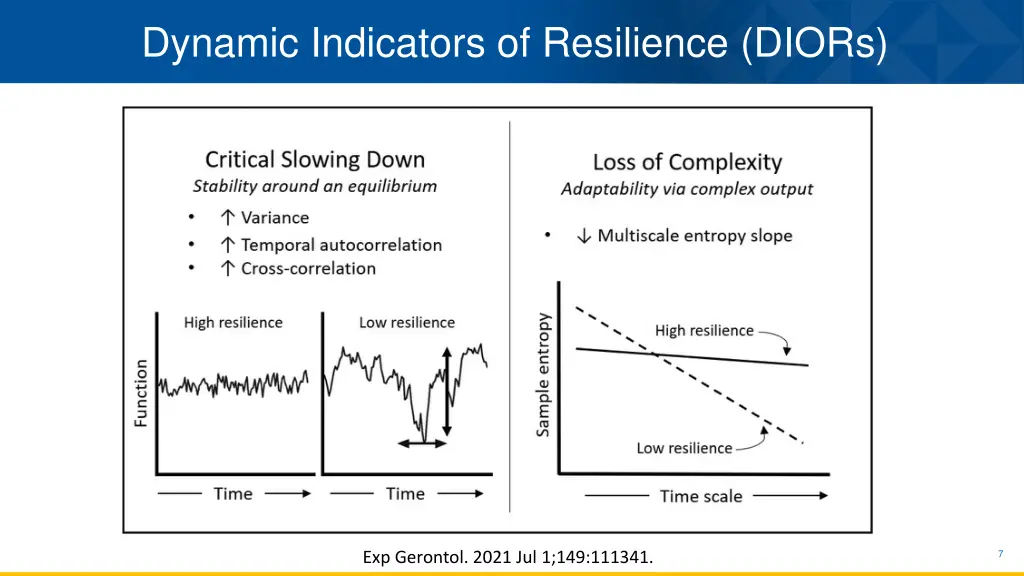 dynamic indicators of resilience diors