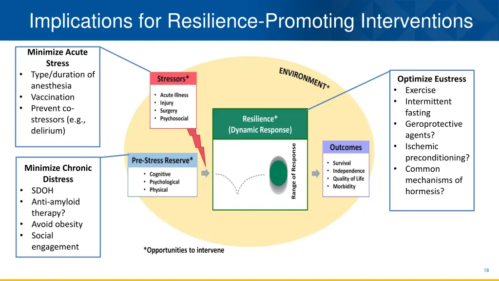 implications for resilience promoting