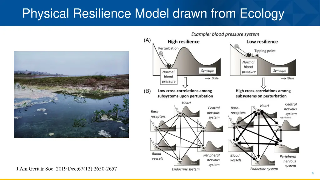 physical resilience model drawn from ecology