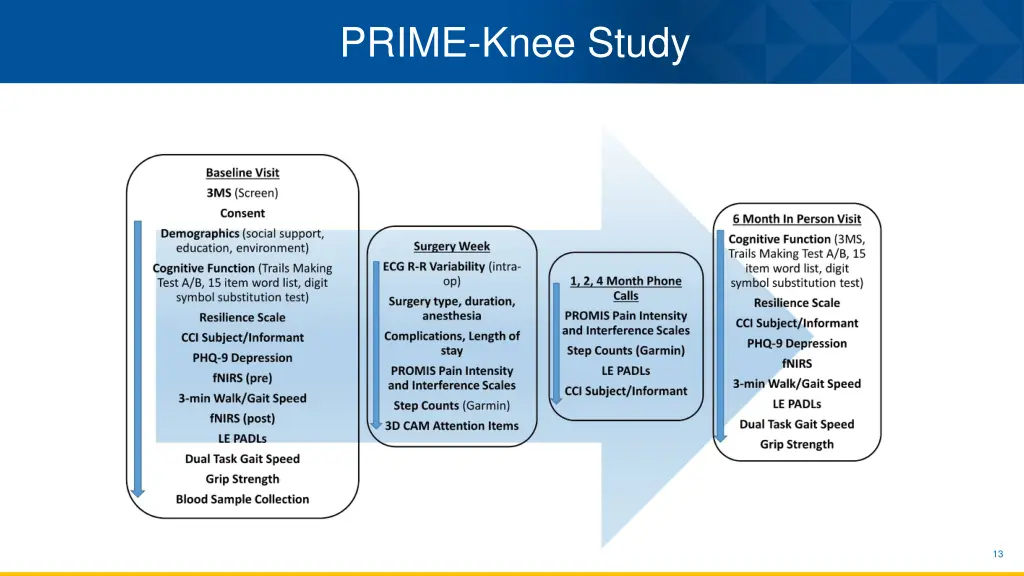 prime knee study