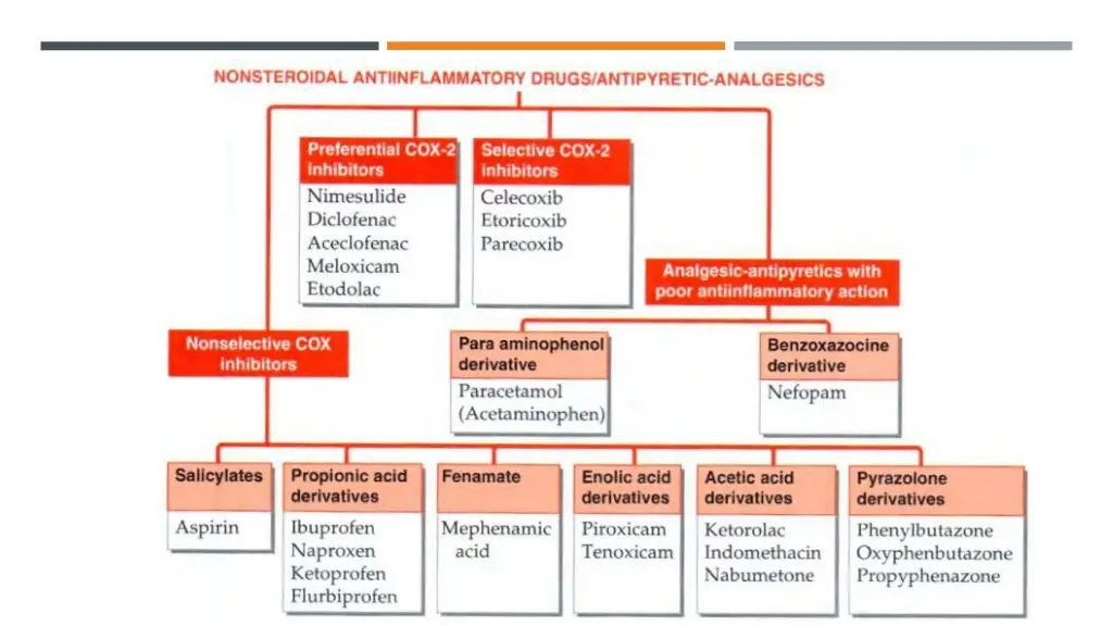 classification