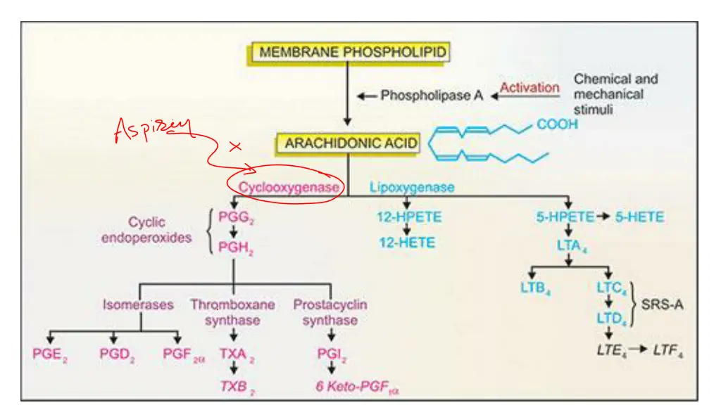 slide6