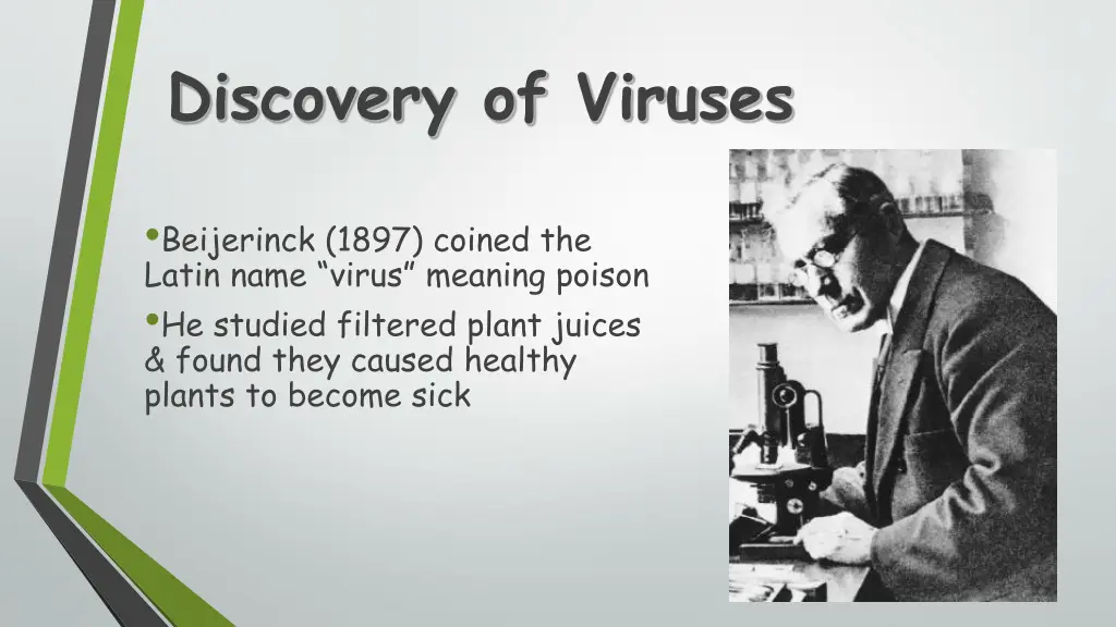 discovery of viruses