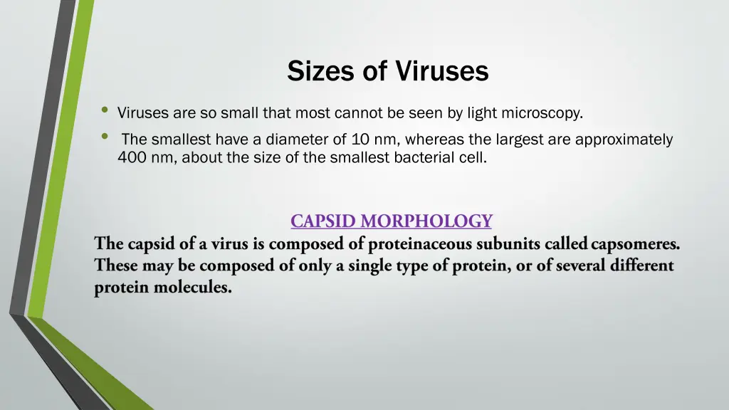 sizes of viruses