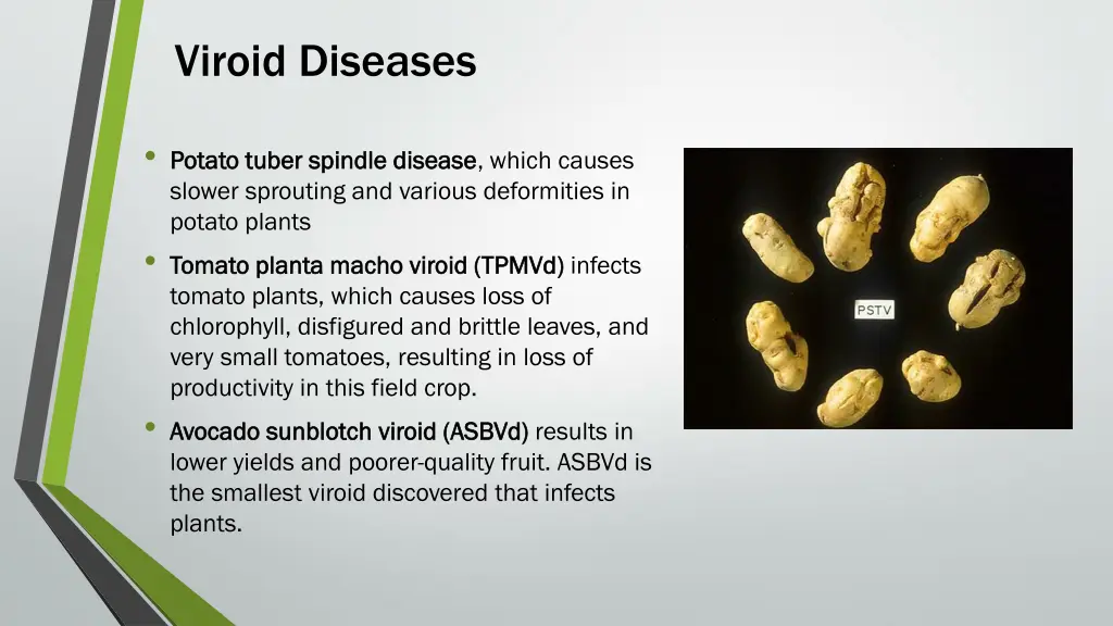 viroid diseases