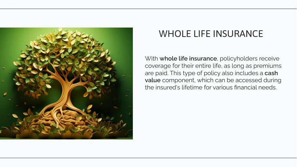 whole life insurance