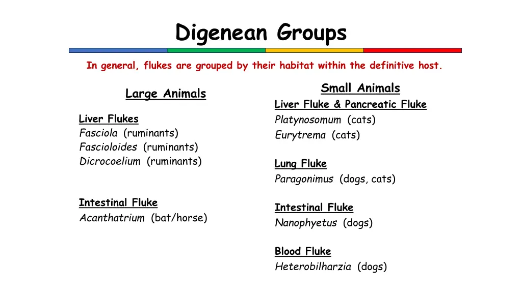 digenean groups