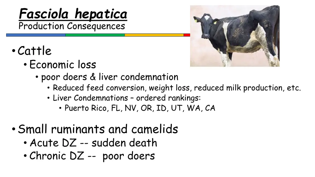fasciola hepatica production consequences