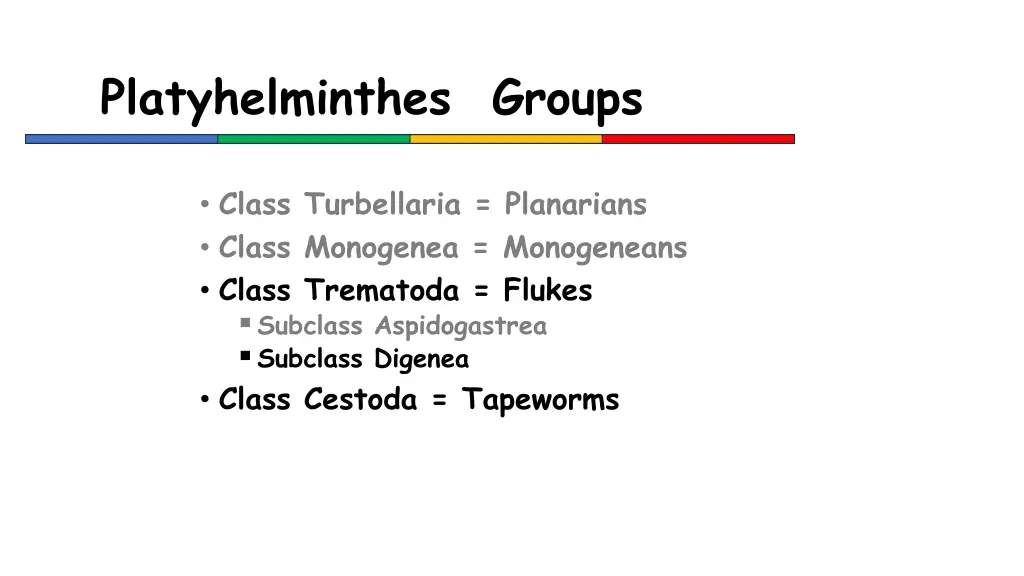 platyhelminthes groups