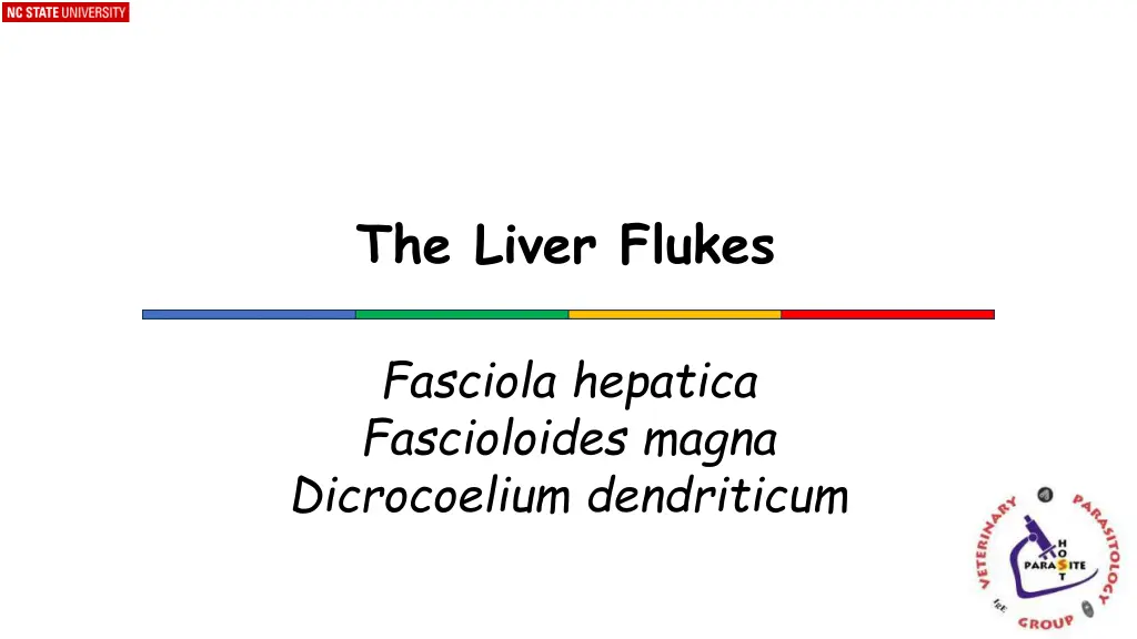 the liver flukes