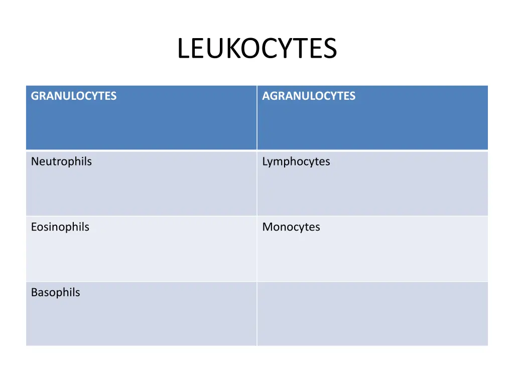 leukocytes 1