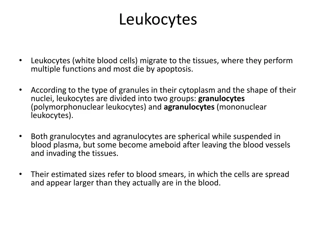 leukocytes